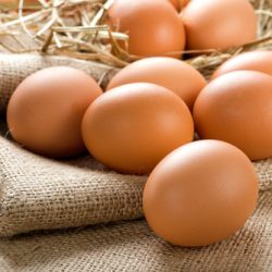 Eggs Eggs
